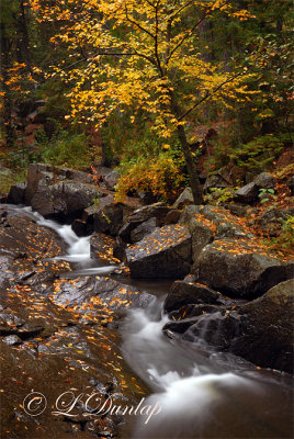 10 - Tischer Creek Narrow Cascade 1, Autumn Leaves