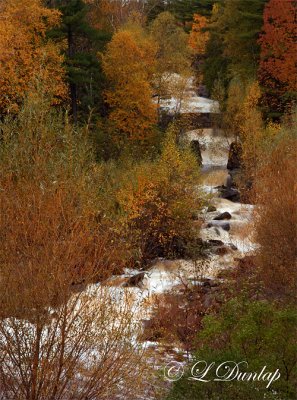 3.3 - Kingsbury Creek, Late Autumn (Vertical)