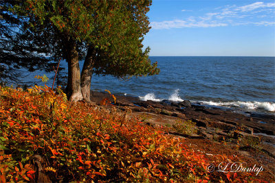 48 - Cascade River Beach In Autumn Array