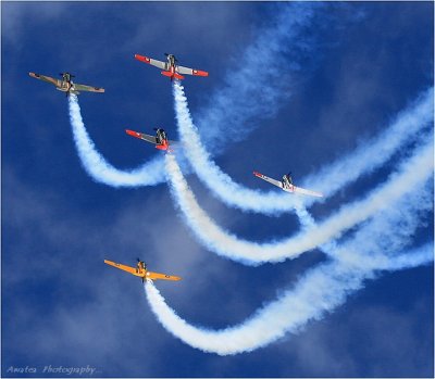 Warbirds Over Whangaparaoa.