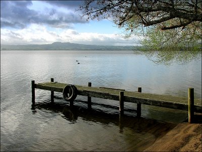 Lake Rotorua.