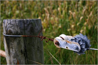 Taranaki Fencing.