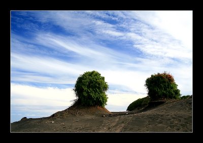 Kaupokonui Beach.