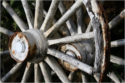 Wagon Wheels.