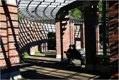 Lines and Shadows at the Wintergarden.jpg