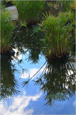 Reflections at Wintergarden.jpg