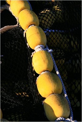 Yellow Bouys 6.jpg