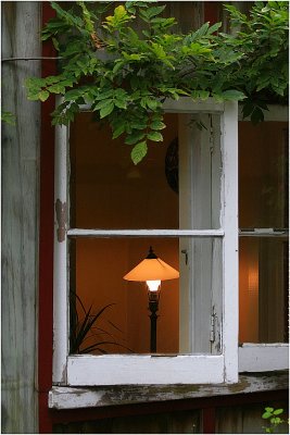 Light in the window.jpg