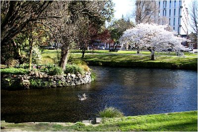 Avon River Christchurch.