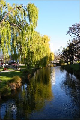 Avon River christchurch. 2.