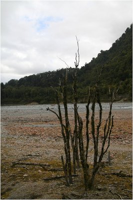 River Bed Fox Glacier.jpg