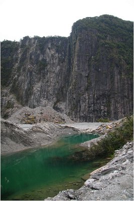 On way to Fox Glacier.jpg