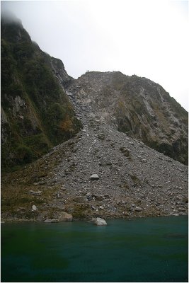 On way to fox glacier 3.jpg