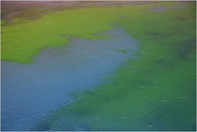 Waters near Fox Glacier.jpg