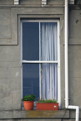 Window on Ponsonby.