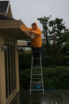 Clearing the gutter of leaves during storm.