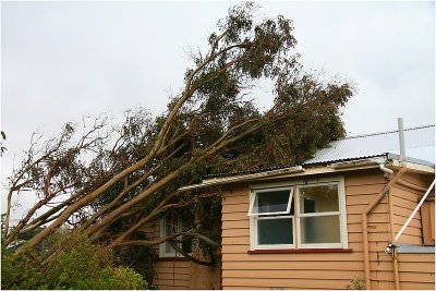 Before and After the Storm