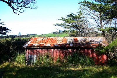 Lovely old shed 2.