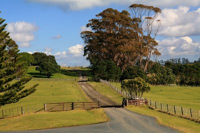 Shakespear Farm Whangaparaoa.