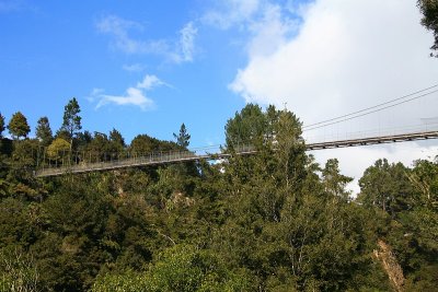 Arapuni - swing bridge