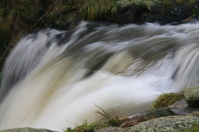 Waterflow Duxfield Reserve.