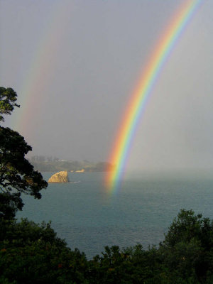 Rainbow Just outside my house...