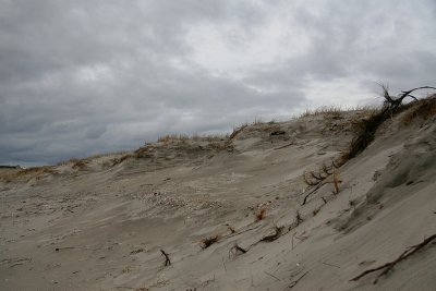 Sand Dunes Omaha.jpg