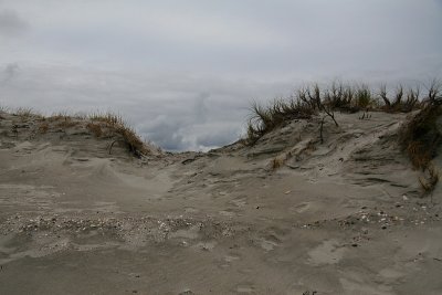 Sand Dunes Omaha 2.jpg