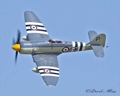 IMG_2497-(spitfire).jpg