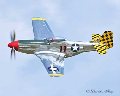 IMG_2511-(p51-low-pass).jpg