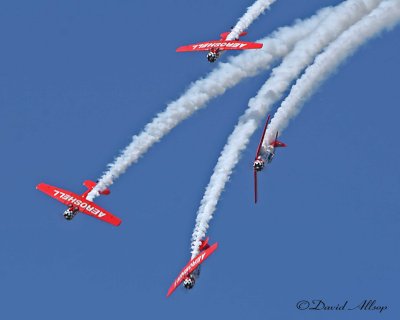 IMG_2604-(Aeroshell-airburs.jpg