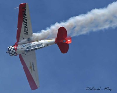 IMG_2610-(Aeroshell-inverte.jpg