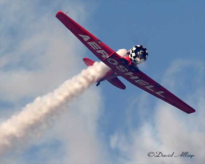 IMG_2630-(Aeroshell).jpg