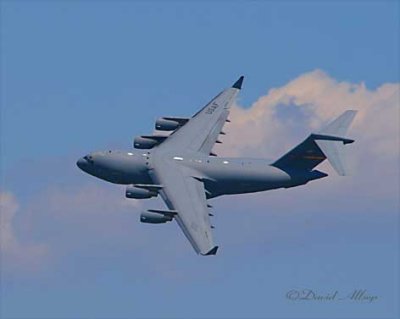 IMG_2973-(C-17).jpg