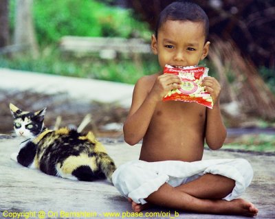Kho Phi Phi , Thailand , 1995