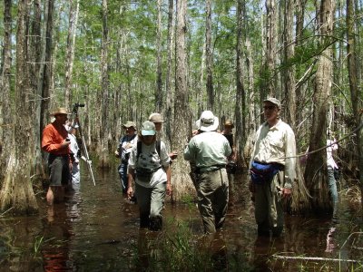 Cypress hammock - this is the only time we got our feet wet, and we did it in spades...