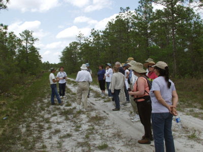 Group of plant enthusiasts from NC State Univ. led by Frank Galloway, a local expert on Green Swamp flora
