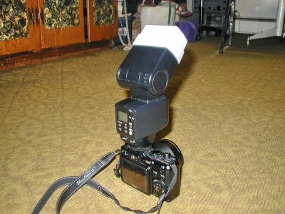 G7 with the Olympus FL-40 Flash
