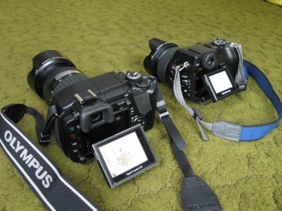 E-330 and C-8080