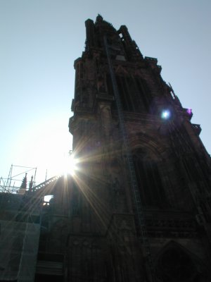 Strasbourg Cathedral (4/13)