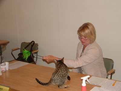 Kahla is a real showcat :)