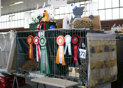 Showcage after the weekend! :)