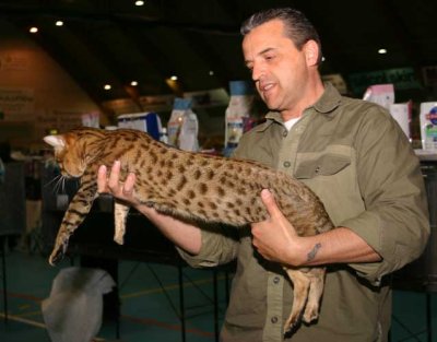 Morritz and todays judge Fabio Brambilla