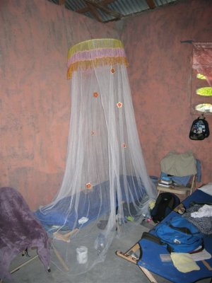 mosquito net and cot