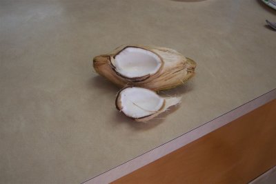 the coconut