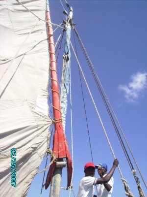 the sail