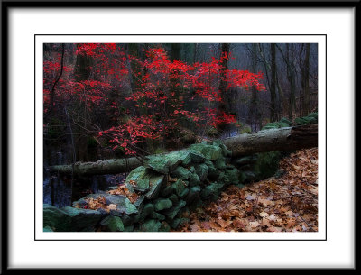 Last Color, Mt. Kisco