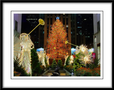 The Tree, 2006