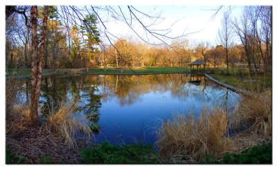 The Peaceful Pond, Scarsdale