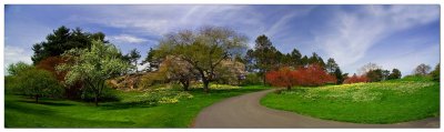 Botanical Gardens, Bronx